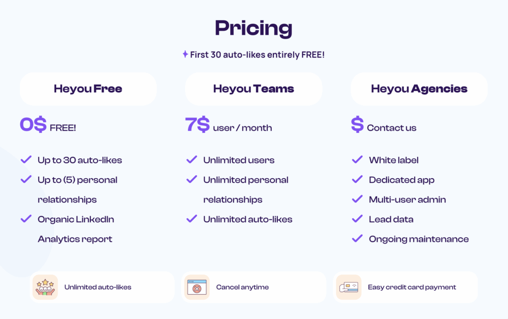 Heyou Pricing