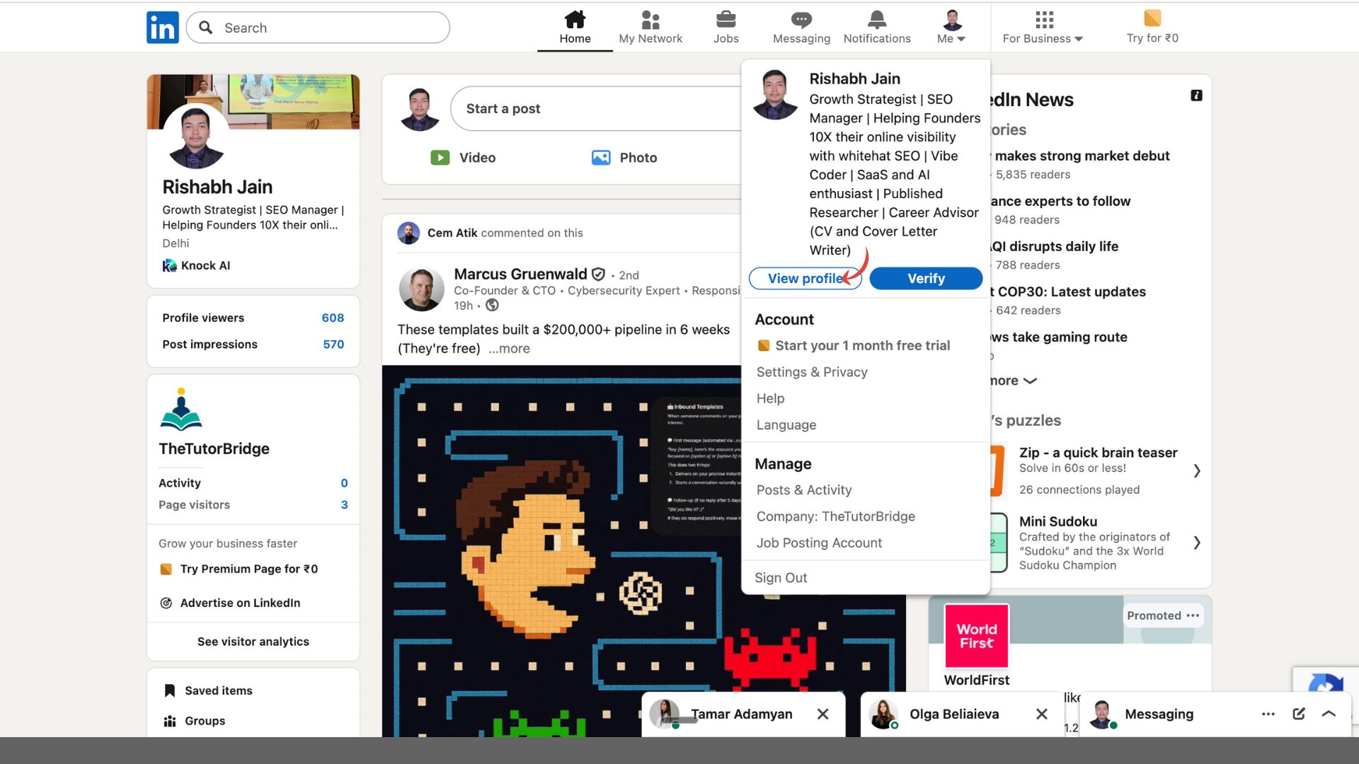 View your LinkedIn profile 